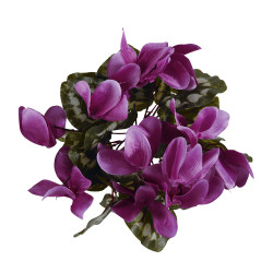 Piquet cyclamen poe d32h25 vt